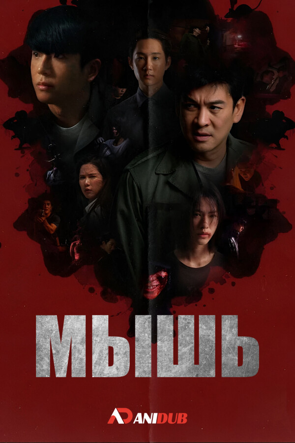 Мышь
